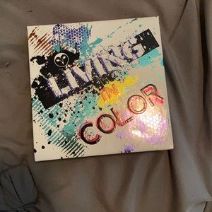 Hank and Henry Living in Color